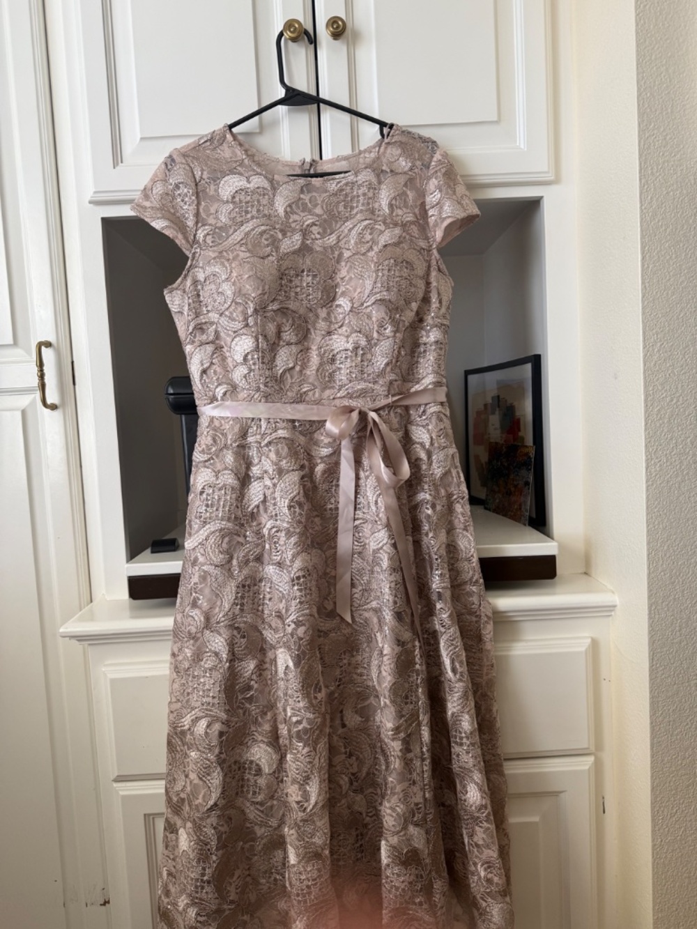 Alex Evenings champagne lace gown - Picture 4 of 4